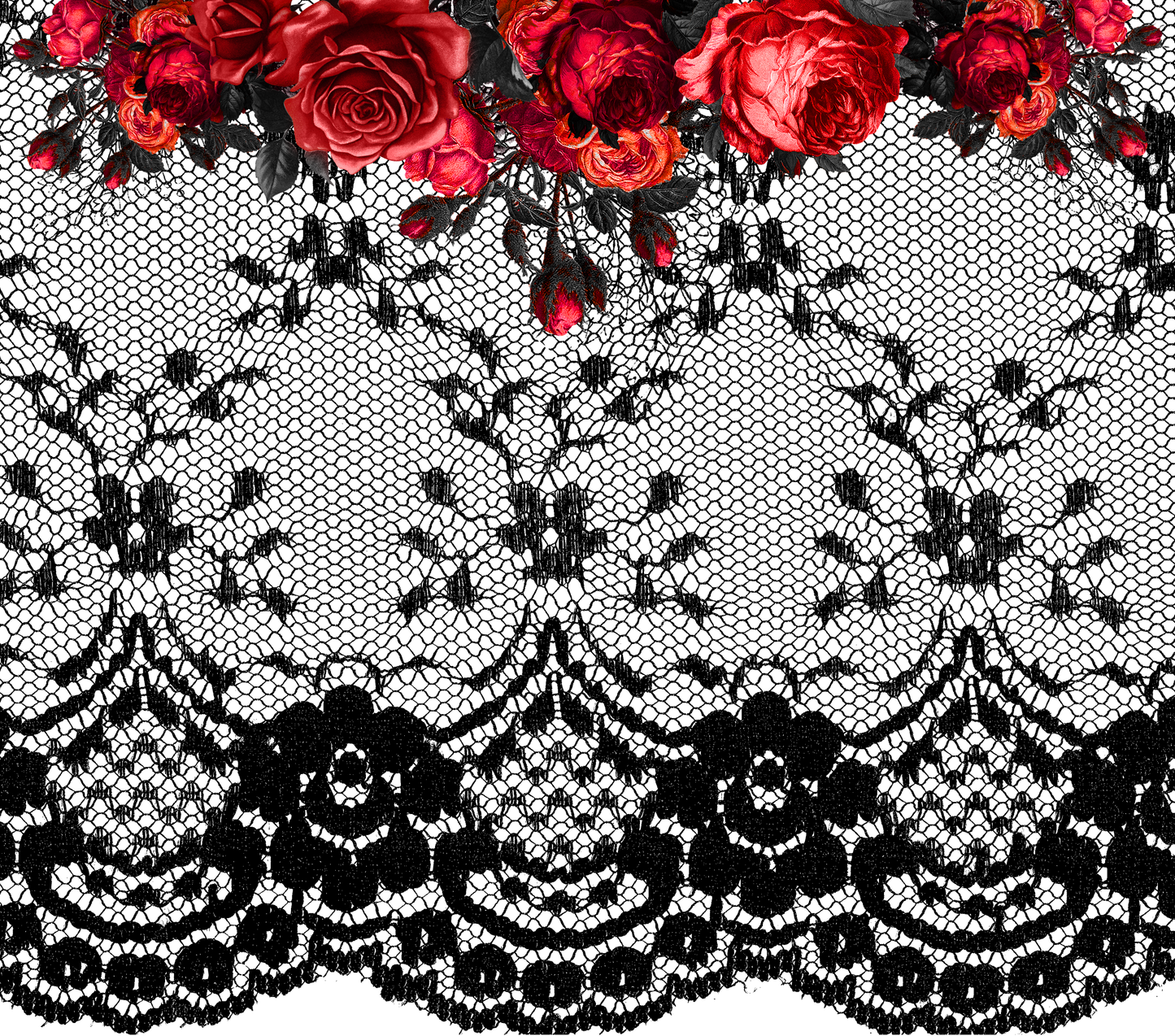 Red Rose Black Lace